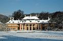 2009-01-08, Schnee (1)